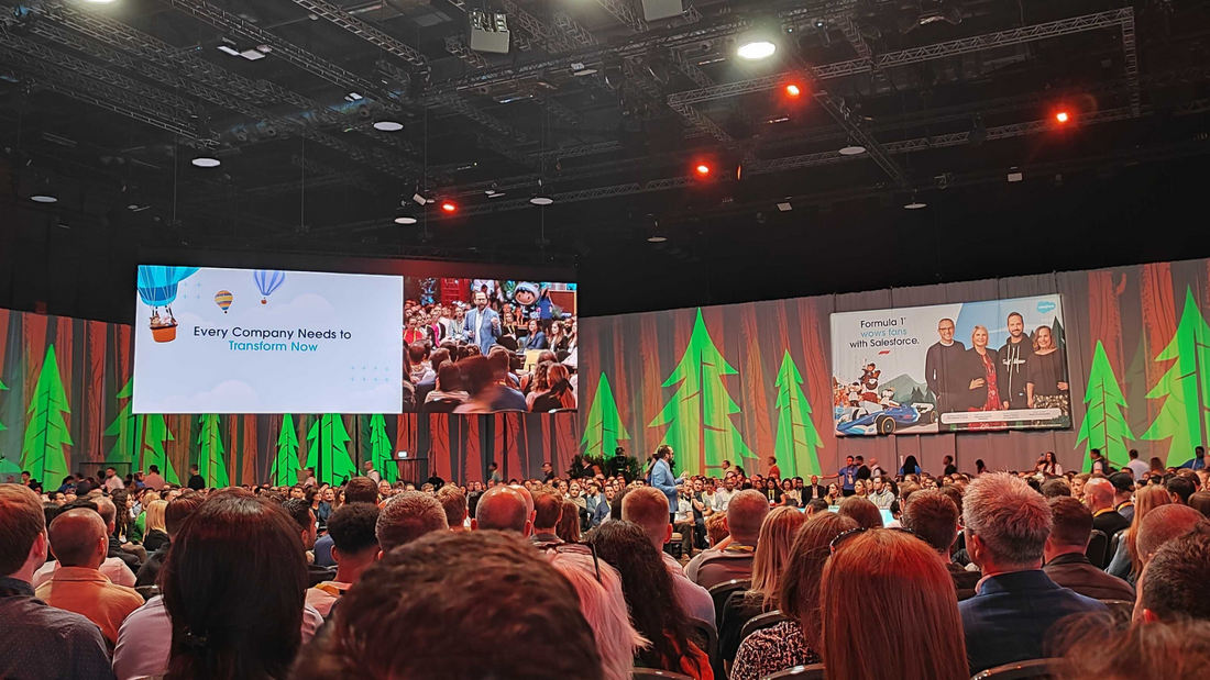 CEO Stefan Loncar's Experience at the Salesforce World Tour