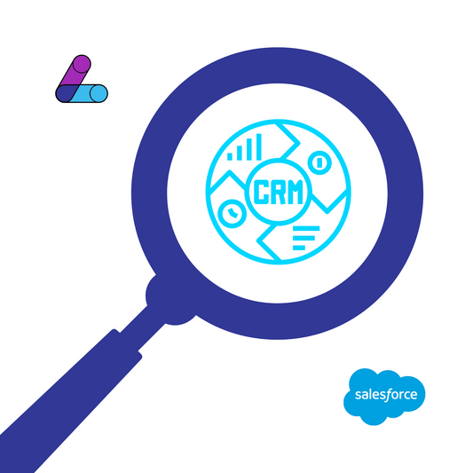 Salesforce CRM Audit