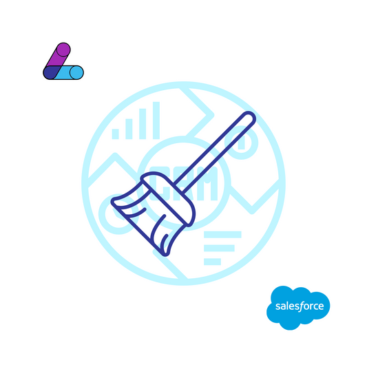 Salesforce CRM Data Cleanup
