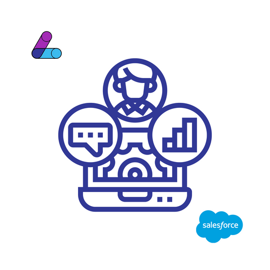 Salesforce CRM Full Setup