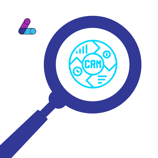 CRM Audit