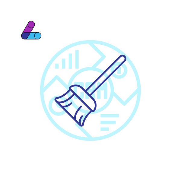 CRM Data Cleanup
