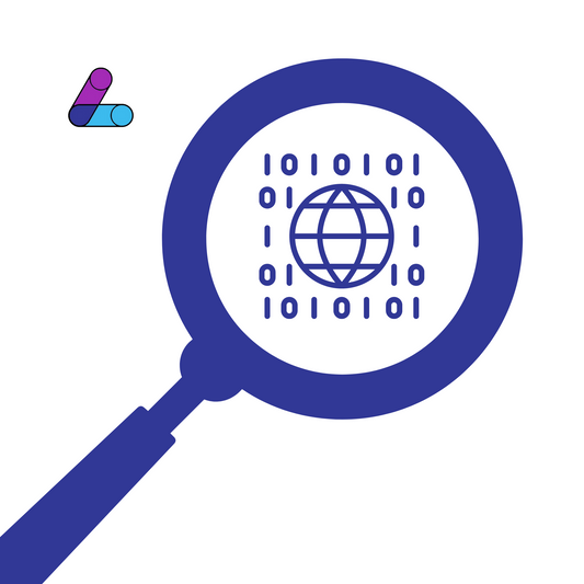 Data Audit
